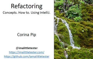 Refactoring Made Easy with IntelliJ - Corina Pip